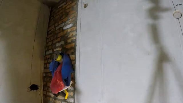 Ремонт квартиры Студии 28 метров. Этап 23. смотреть онлайн