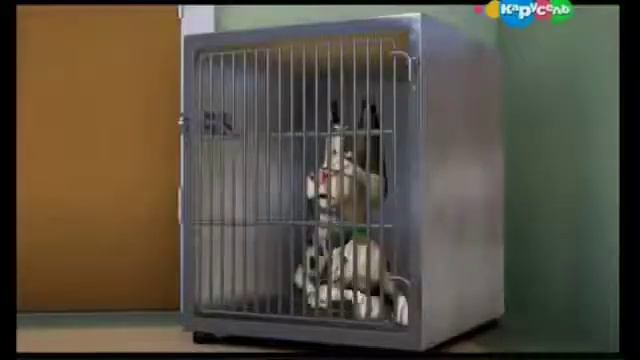 Боб строитель 2016 Кошки и собаки смотреть онлайн