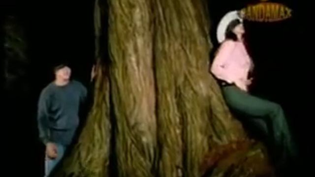 aracely arambula y palomo te quiero mas que ayer смотреть онлайн