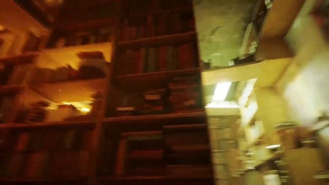 24.07.2022 | STRAY смотреть онлайн