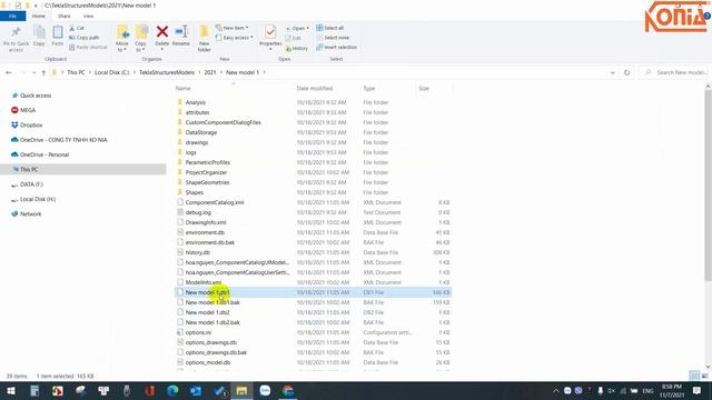 Tekla TIP #25 | Model On Disk Is Corrupted