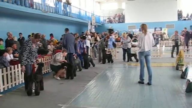 Сравнение на ЛПП смотреть онлайн