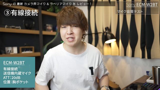 待望のSony純正ワイヤレスマイク「ECM-W2BT」の実力を徹底検証します！ смотреть онлайн