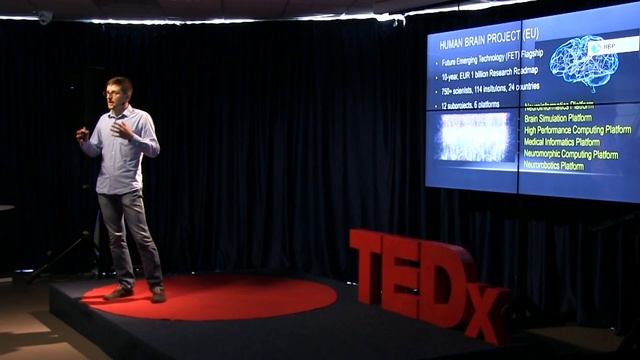 Естественный интеллект в неестественных условиях | Павел Булай | TEDxNiamiha