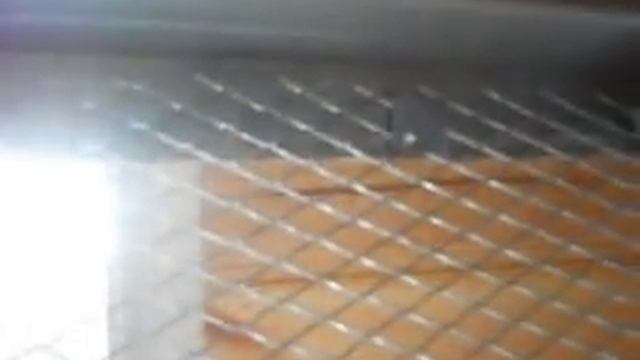 Как сделать сушилку для грибов. смотреть онлайн