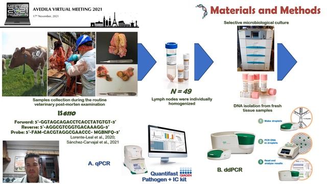Oral 11 | EAVLD Virtual Meeting 2021 смотреть онлайн