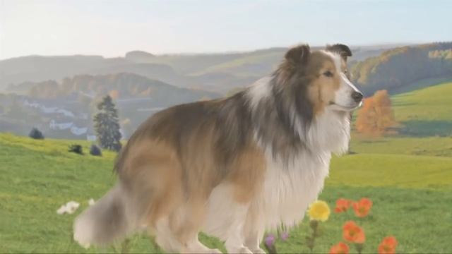 ЖИВОТНЫЕ НА ФЕРМЕ. Чем отличаются быки от коров? Ферма Микки. Серия 12 смотреть онлайн