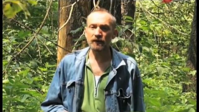 Обработки от короеда (не надо так). смотреть онлайн