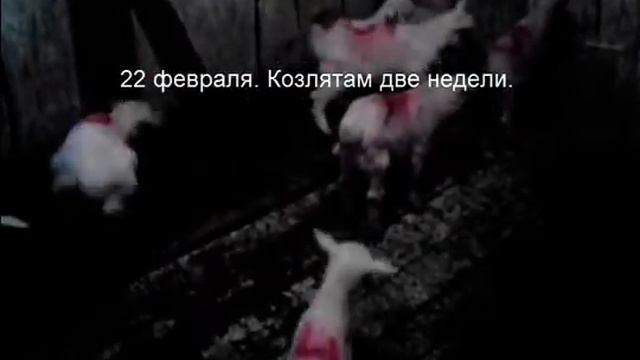 Люлька для козлят в действии смотреть онлайн