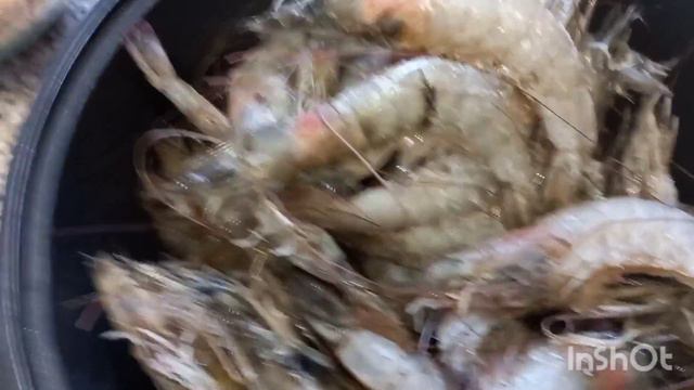 Примеряем фартук для козла на дочь🤣. Дегустируем креветки из Дубая. смотреть онлайн