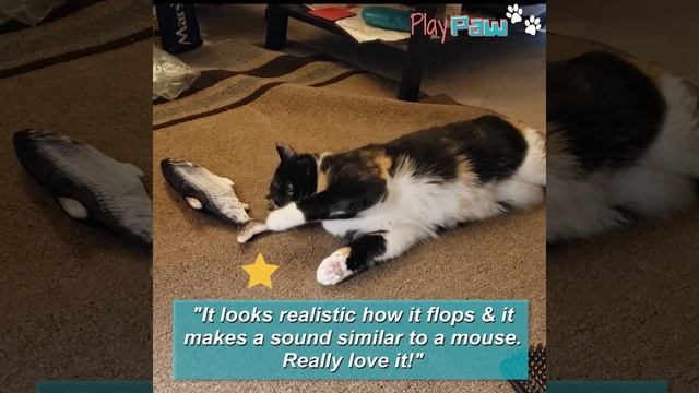 PlayPaw Floppy Fish смотреть онлайн