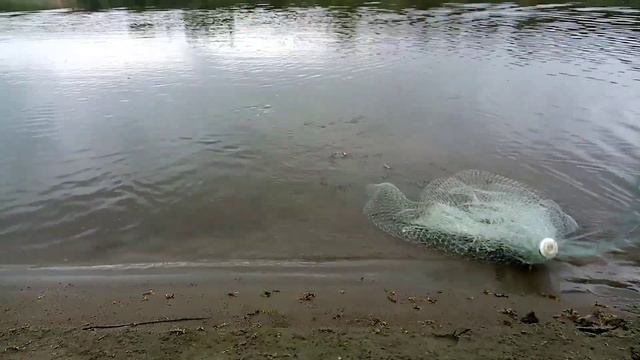 Кастинговая сеть, рыбалка ранним утром на реке Чумыш. смотреть онлайн