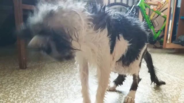 Если утром дети умываються, солнце в небе ярче улыбается... смотреть онлайн