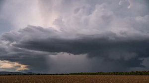 Антонио Вивальди - Времена года. Лето. Часть 3: Престо