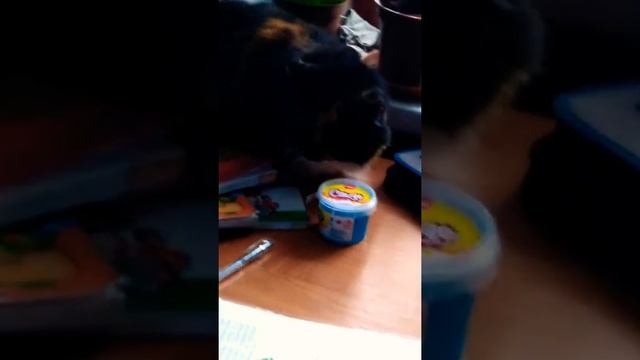 Знакомство с Асей и Тасей смотреть онлайн