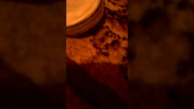 ПРАВДА ЛИ, ЧТО ЗУБНАЯ ЩЕТКА И ПАСТА ПОМОГАЕТ ЧИСТИТЬ ОБУВЬ?!?!?! смотреть онлайн