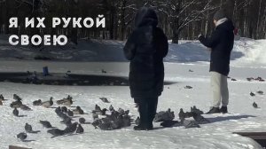 Орск - Голуби