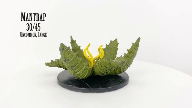 Tomb of Annihilation Minis Full Review - WizKids D&D Icons of the Realms смотреть онлайн