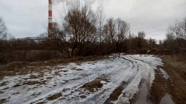 Старый оскол видео о прогулки собаками смотреть онлайн