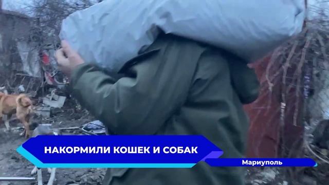 Новости "Волга 24" 22.12.2022 11:00