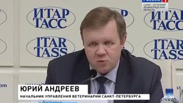 Программа по отлову и стерилизации безнадзорных животных начинает работать в Ленинградской области смотреть онлайн