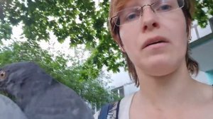 Голуби с «залепленными глазами», чем болеют, опасно ли для людей, стоит ли подбирать и помогать?
