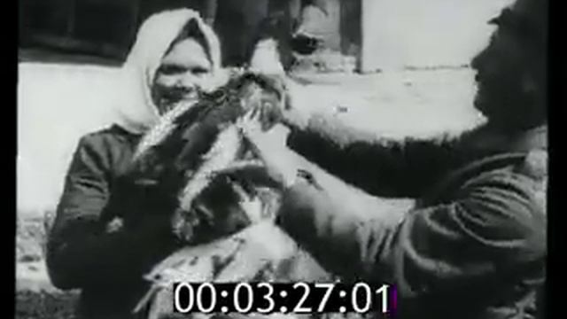 Донская республика 1918г смотреть онлайн