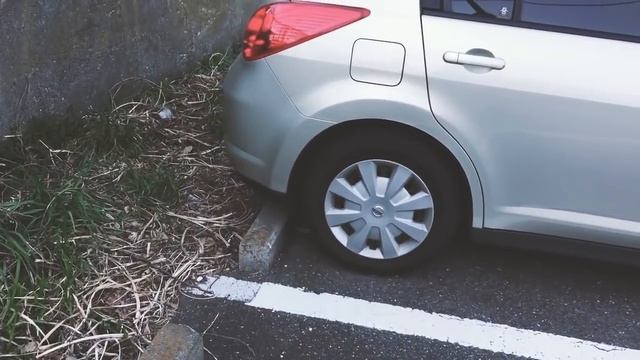 Реклама авто с котейками смотреть онлайн