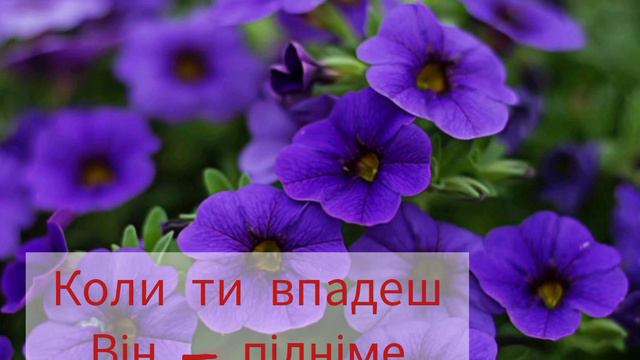 З Днем Ангела Наталію смотреть онлайн