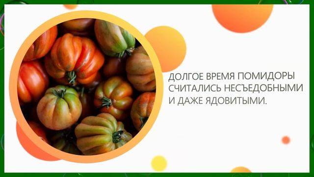 Томаты - интересные факты