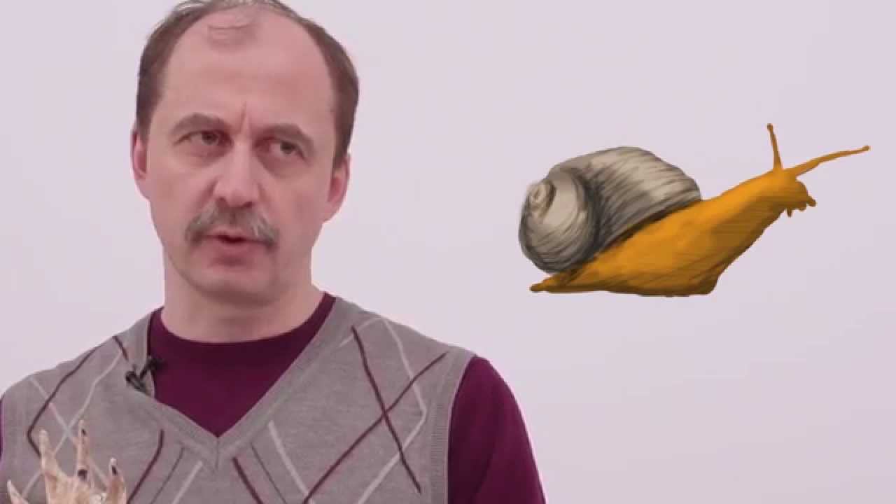 Мусорное биомоделирование. Моллюски. Часть 1 - Брюхоногие. смотреть онлайн