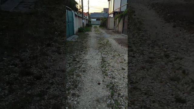 Чёрное море чистое, люди настоящие-есть! 29.07.23г. смотреть онлайн