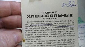 Томат ХЛЕБОСОЛЬНЫЕ в моей коллекции. ФОТО.