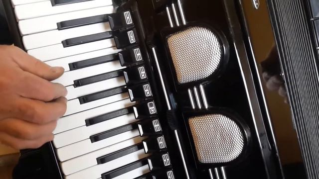 Weltmeister Stella 120 Bass LMMH Accordion Akkordeon Fisarmonica(2) смотреть онлайн
