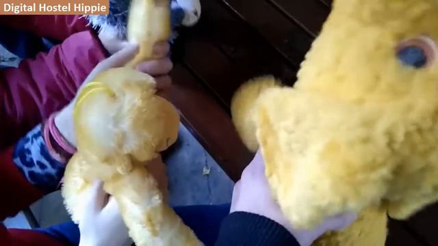 Путешествиев псих интернат смотреть онлайн