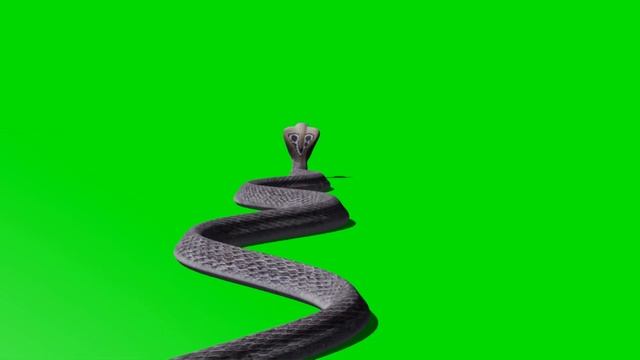 Snake green screen video 2023 смотреть онлайн