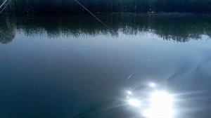 Лодочный электромотор Haswing Osapian E 40 (первый выход)