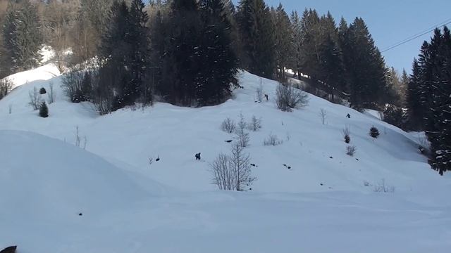 BANNALP - FELL - WIDDEREN (SWISS) 25.01.2017 смотреть онлайн