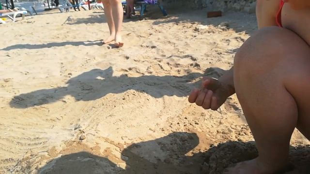 Купили черепашек! | Русалка с икрой. смотреть онлайн