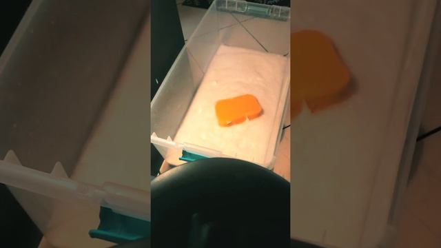 ASMR 5 Different Multi Purpose Cleaner Sponge Squeezing 🛀 😩 Stress Relief/Sleep 🛌😴 смотреть онлайн