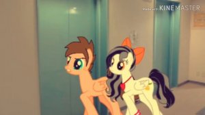 Плачь из лифта пони страшилка