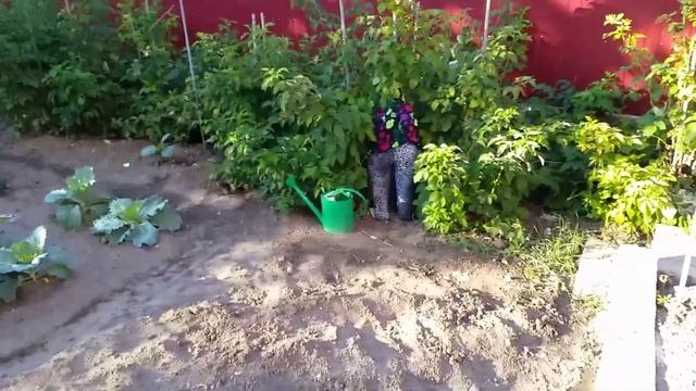 #пугало Очень реалистичное пугало из того, что есть "под руками" смотреть онлайн