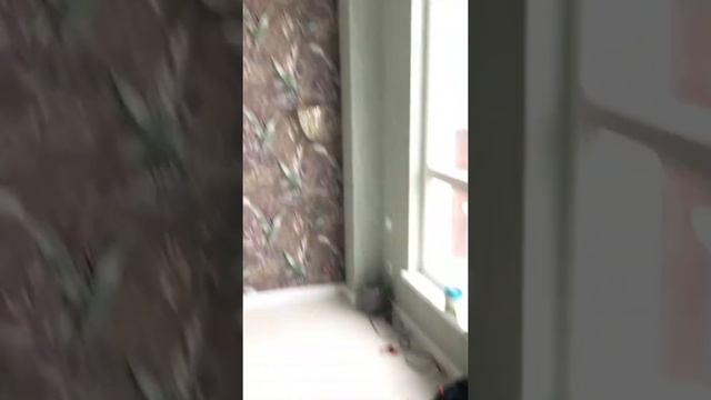 Натяжка потолка с Максим!! смотреть онлайн