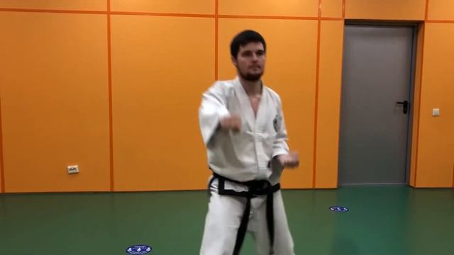 Чон-Джи Туль Обучение Тхэквондо (3 туль, на жёлтый пояс) смотреть онлайн