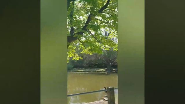 Работа в Германии. Воскресная прогулка на велике. Bückeburg, Germany. смотреть онлайн