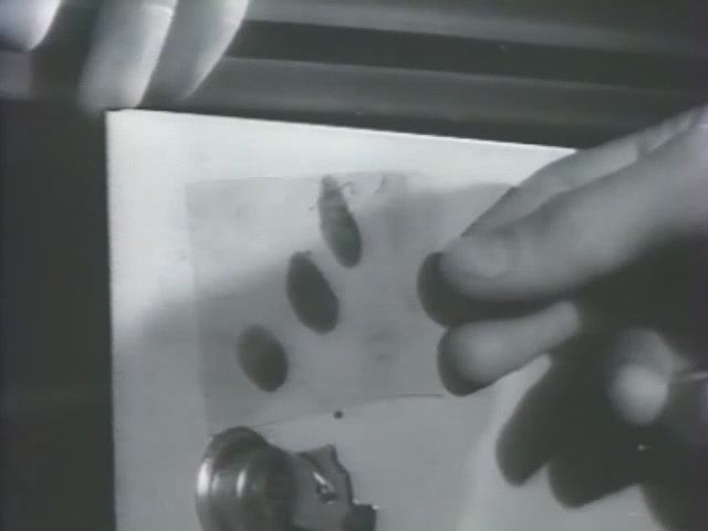 Криминалистика. Учебные фильмы. Дактилоскопия. Фильм первый смотреть онлайн