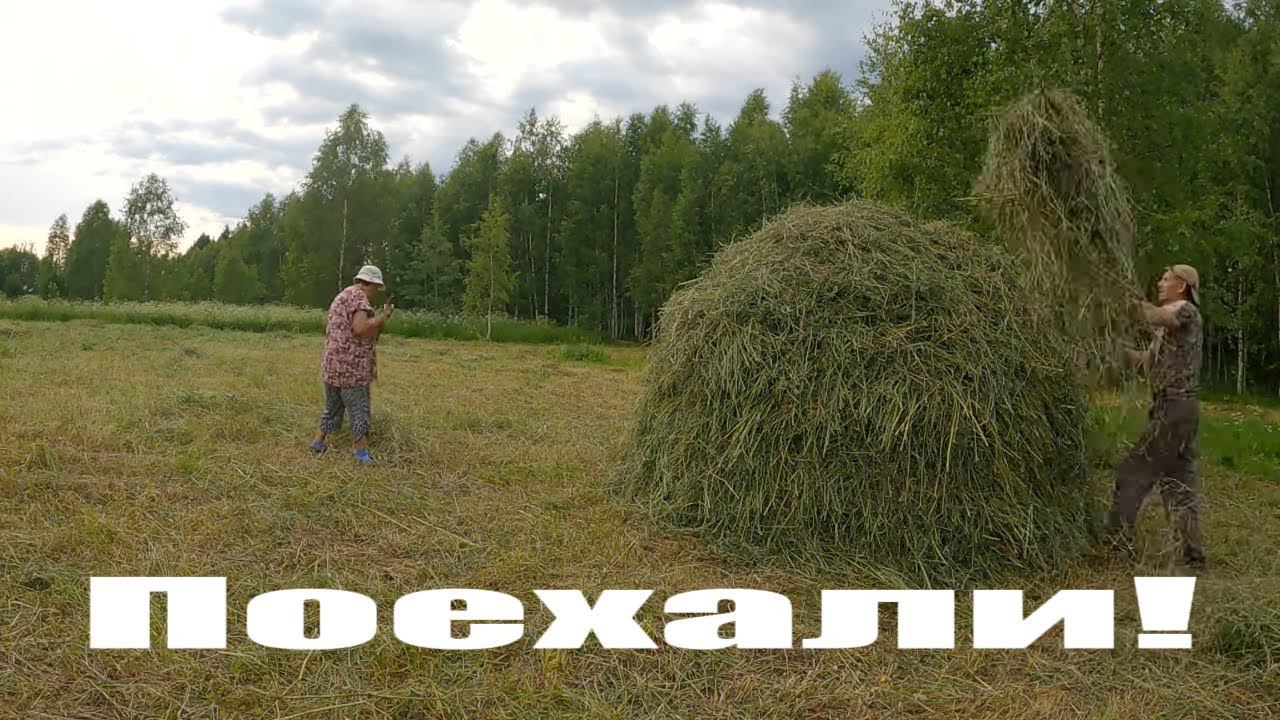 Сенокос мотоблоком стартовал! Накрылся "септик"! Телега для сена из прошлого! смотреть онлайн
