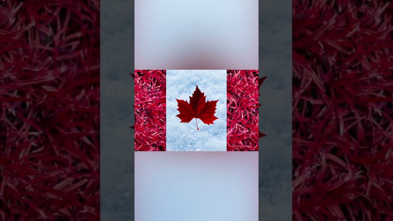 Реалистичные флаги стран смотреть онлайн