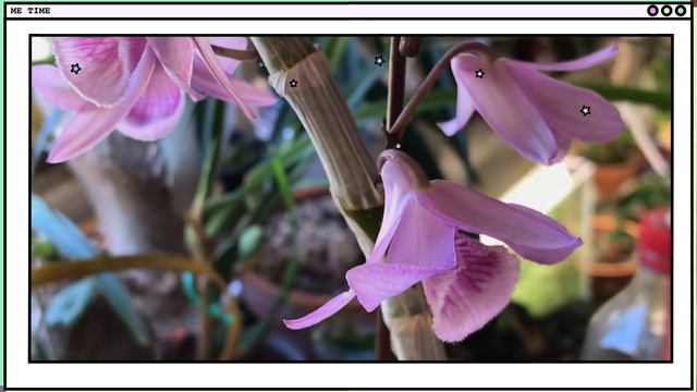 #GVBFOS2020 смотреть онлайн