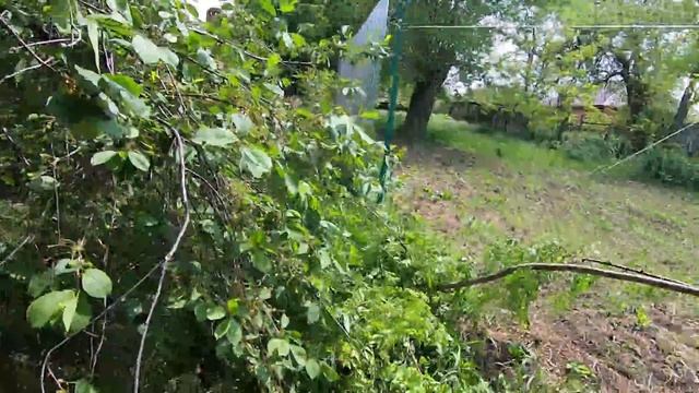 Строим забор. Работаем и отдыхаем! смотреть онлайн